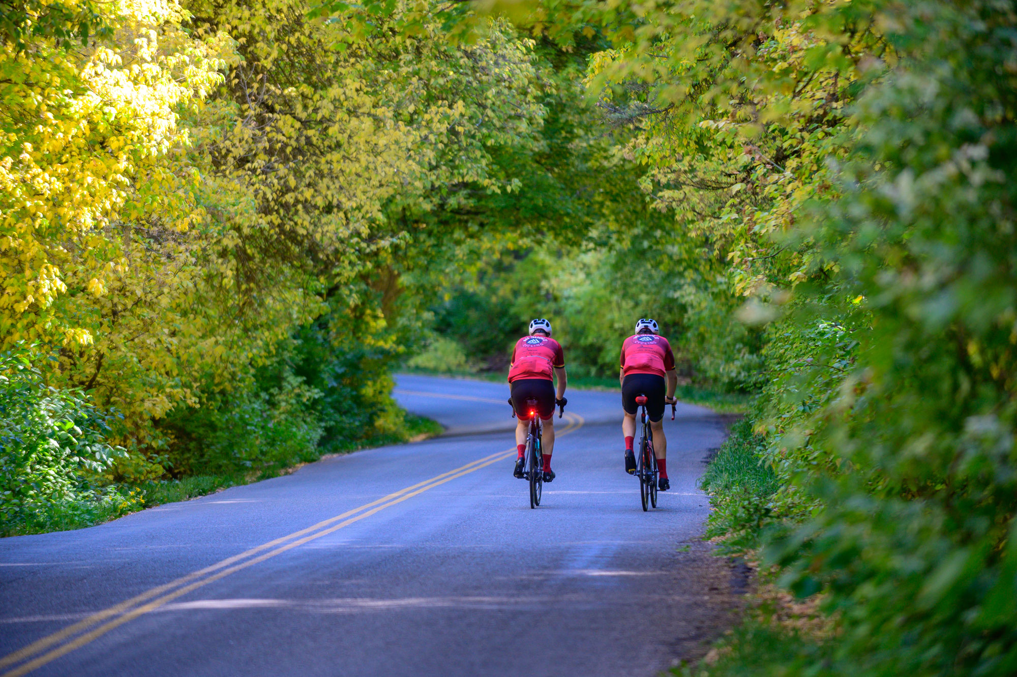 two riders in pink jerseys